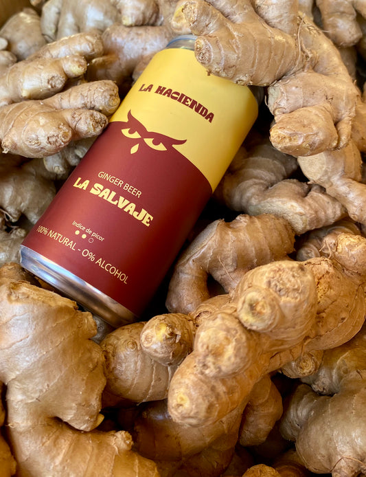 Ginger Beer Salvaje - 6 Pack
