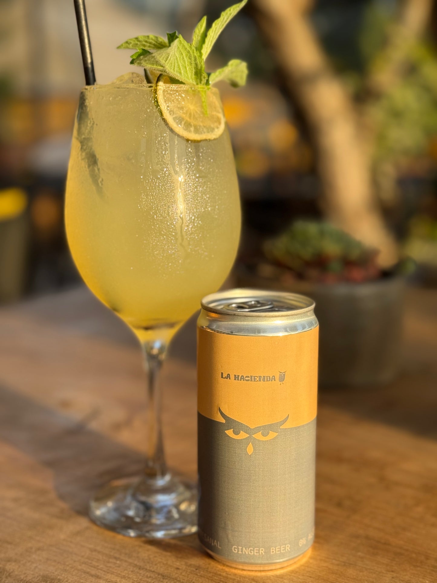 Pack de 6 unidades - Ginger Beer Clásica