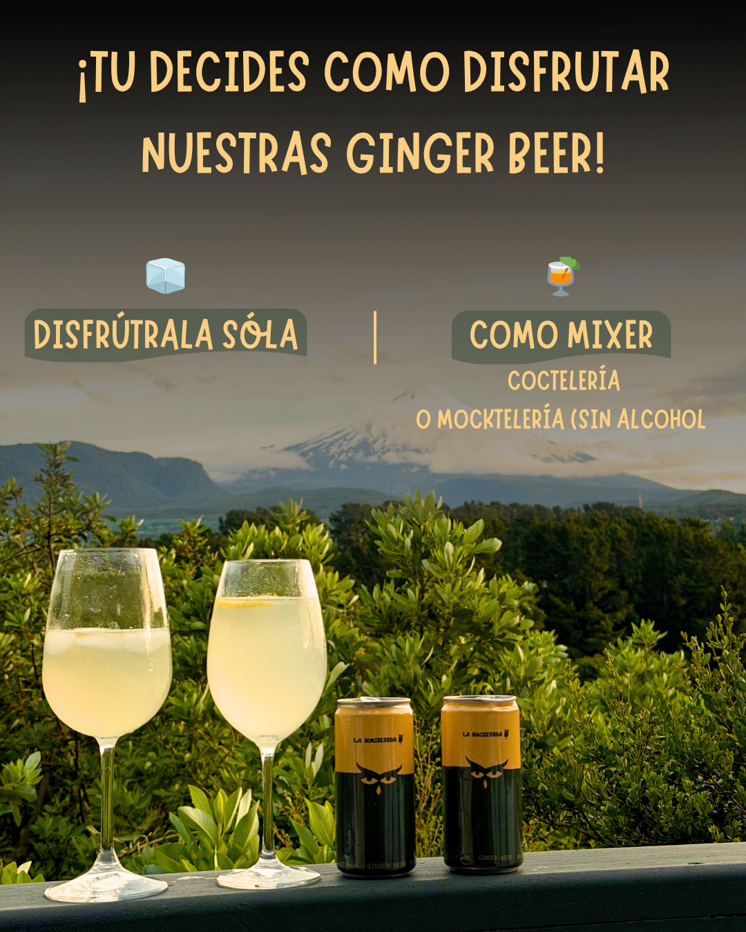 GINGER BEER "LA CLÁSICA"